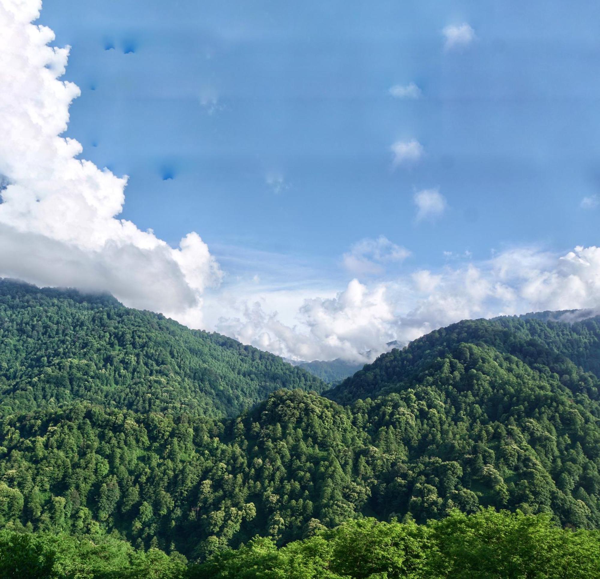 Mtirala Glamping Hotel Chakvistavi Екстериор снимка